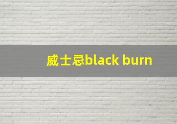 威士忌black burn